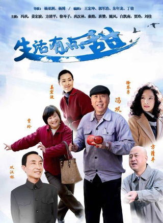 賈玲參演電影/電視劇
